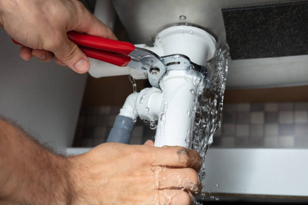 Best Flood restoration services  in Waynesville, NC