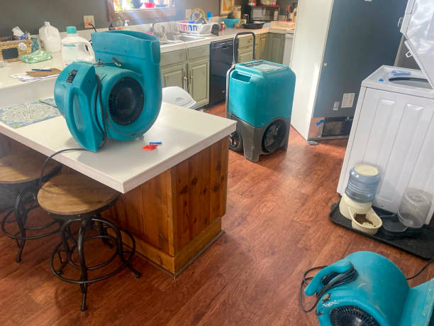 Best Professional water damage repair  in Waynesville, NC