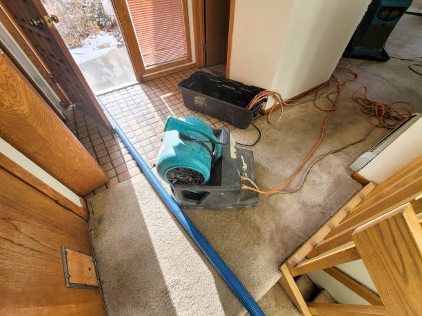 Best Water damage cleanup near me  in Waynesville, NC
