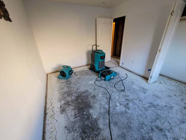Best Carpet water damage restoration  in Waynesville, NC