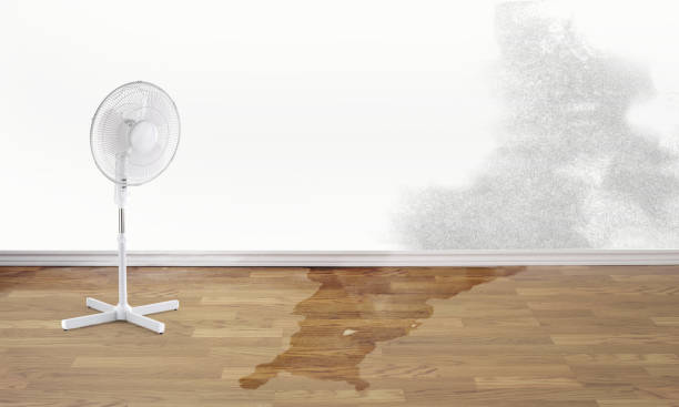 Best Water damage restoration company  in Waynesville, NC