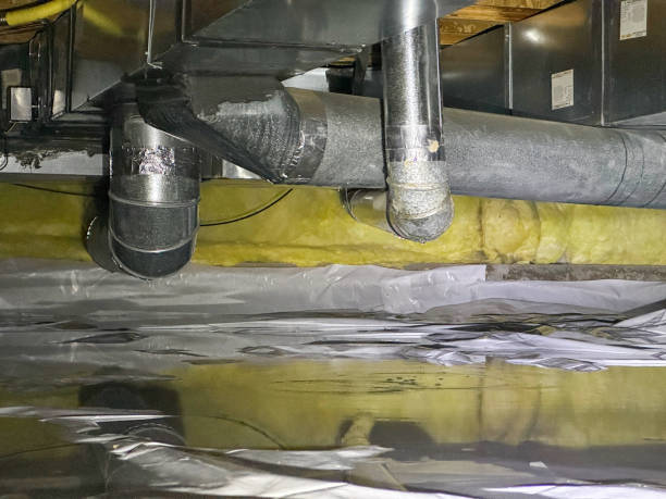 Best Water damage restoration experts  in Waynesville, NC