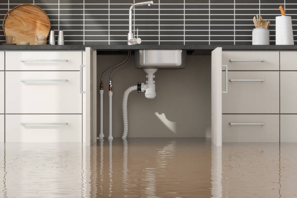 Water damage restoration experts in NC