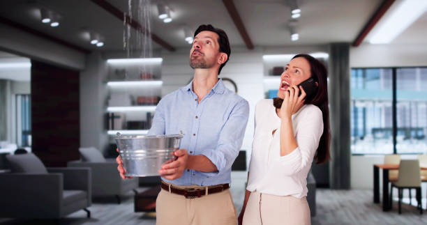 Best Water damage contractors near me  in Waynesville, NC