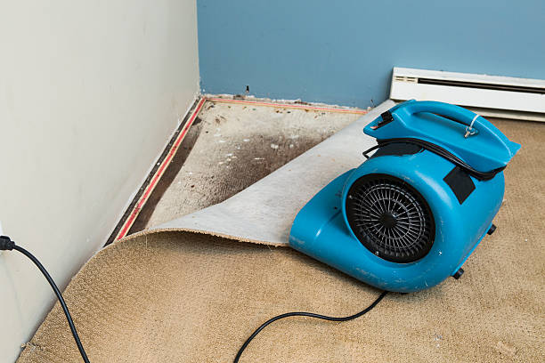 Best Emergency water damage restoration  in Waynesville, NC